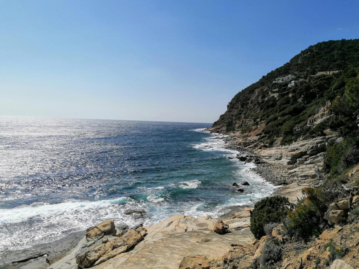 Villa Dali La Garde 260M2 Jacuzzi, Sauna, Piscine, Jardin 500M2, 5 Minutes De La Plage 外观 照片